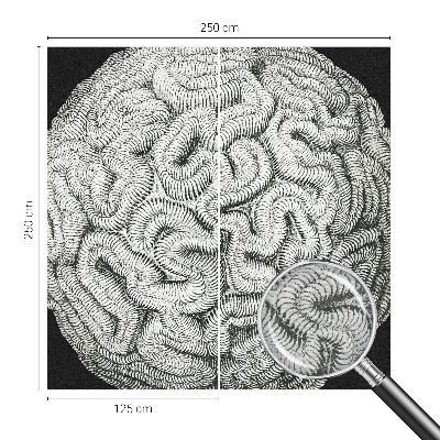 Dekoratívna fototapeta na stenu Sférická štruktúra
