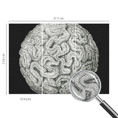 Dekoratívna fototapeta na stenu Sférická štruktúra