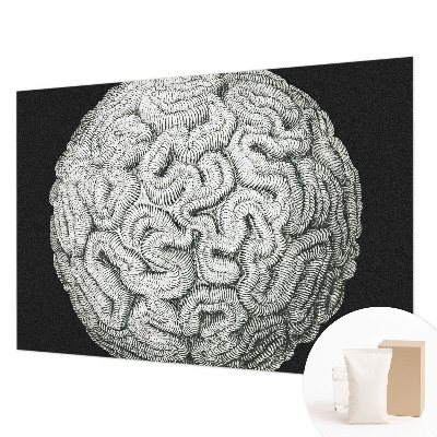 Dekoratívna fototapeta na stenu Sférická štruktúra