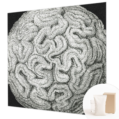 Dekoratívna fototapeta na stenu Sférická štruktúra