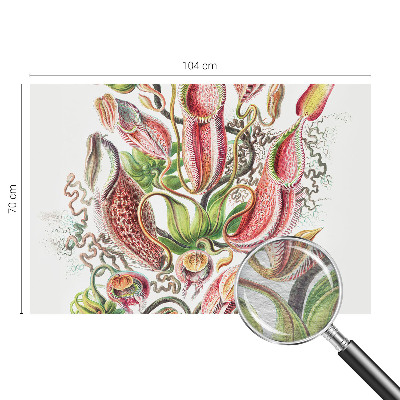 Fototapeta na mieru do obývačky Detaily rastliny