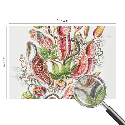 Fototapeta na mieru do obývačky Detaily rastliny