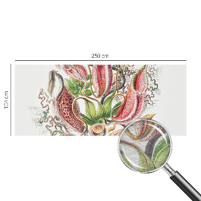 Fototapeta na mieru do obývačky Detaily rastliny