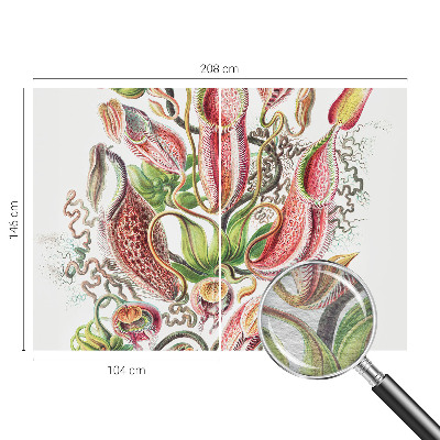 Fototapeta na mieru do obývačky Detaily rastliny