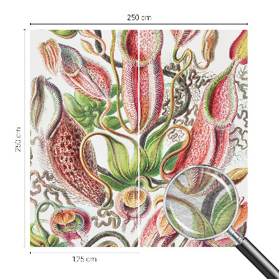 Fototapeta na mieru do obývačky Detaily rastliny