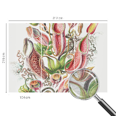 Fototapeta na mieru do obývačky Detaily rastliny