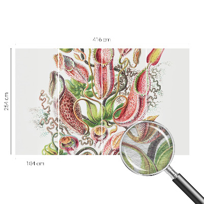 Fototapeta na mieru do obývačky Detaily rastliny