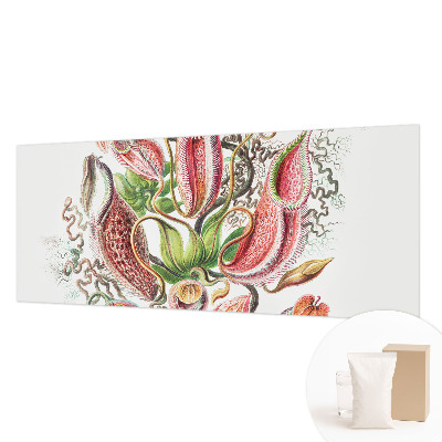 Fototapeta na mieru do obývačky Detaily rastliny