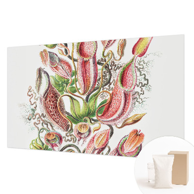 Fototapeta na mieru do obývačky Detaily rastliny