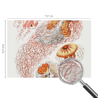 Luxusná tapeta Luxusná medúza