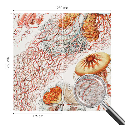 Luxusná tapeta Luxusná medúza