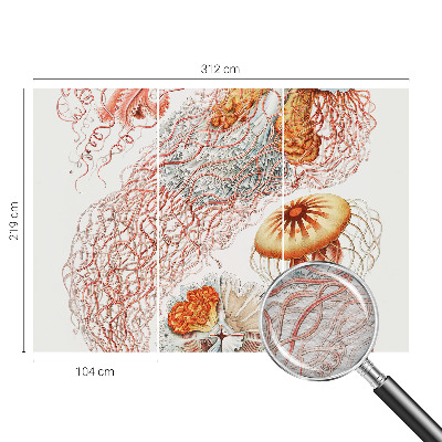 Luxusná tapeta Luxusná medúza