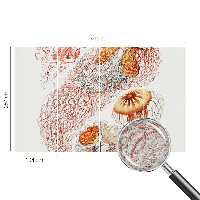 Luxusná tapeta Luxusná medúza