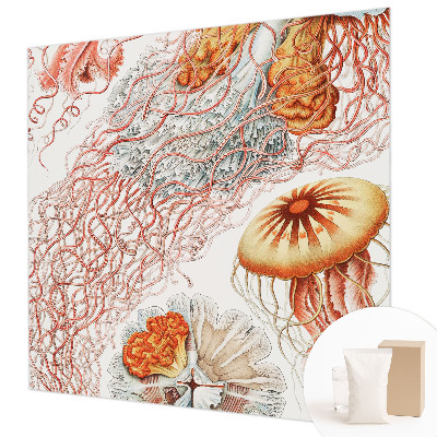 Luxusná tapeta Luxusná medúza