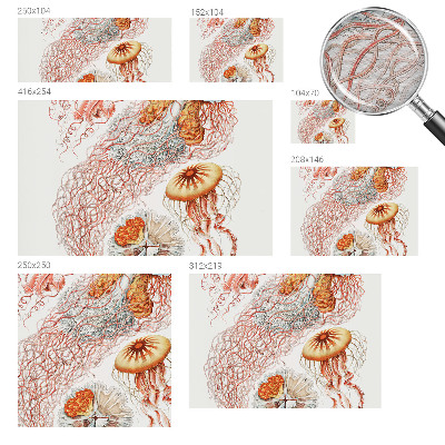 Luxusná tapeta Luxusná medúza