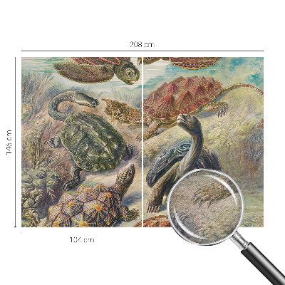 Tapeta Fauna korytnačiek