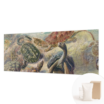 Tapeta Fauna korytnačiek