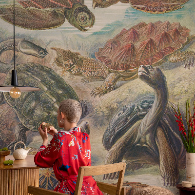 Tapeta Fauna korytnačiek