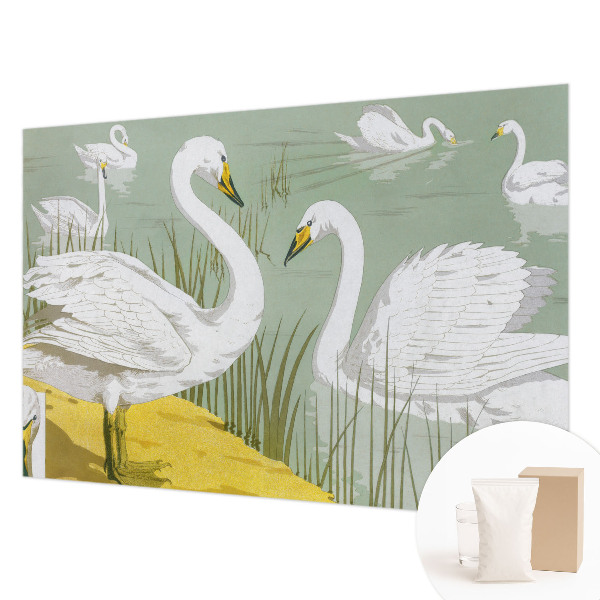 Fototapeta na stenu Labutie jazero