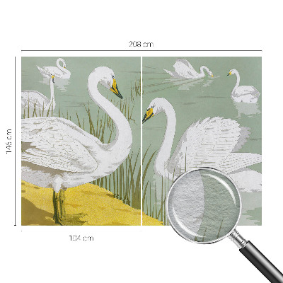 Fototapeta na stenu Labutie jazero