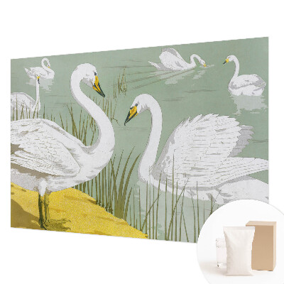 Fototapeta na stenu Labutie jazero