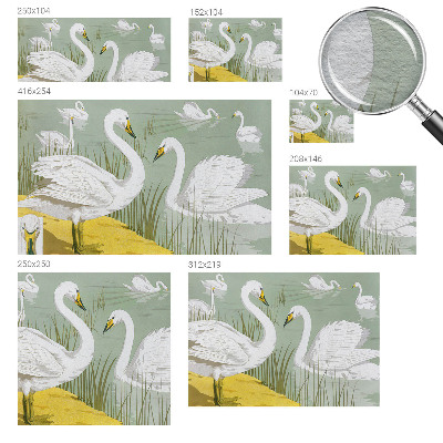 Fototapeta na stenu Labutie jazero