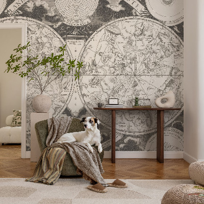Vliesová fototapeta na stenu Hviezdna mapa