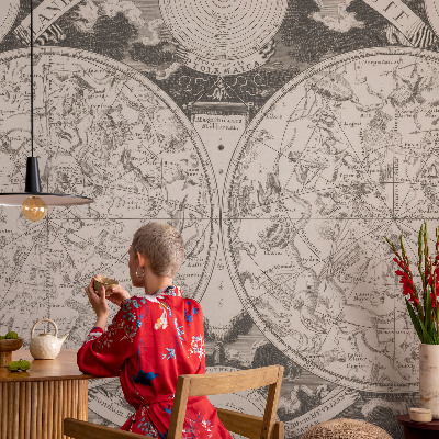 Vliesová fototapeta na stenu Hviezdna mapa