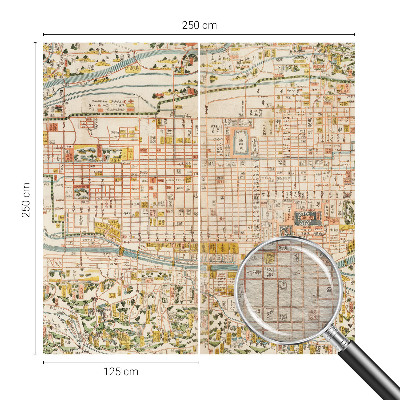 Fototapeta na mieru Starožitná mapa