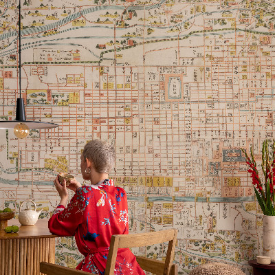 Fototapeta na mieru Starožitná mapa