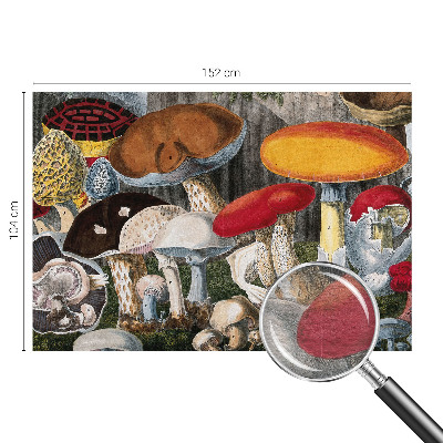 Vliesová fototapeta do obývačky Botanické huby