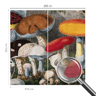 Vliesová fototapeta do obývačky Botanické huby