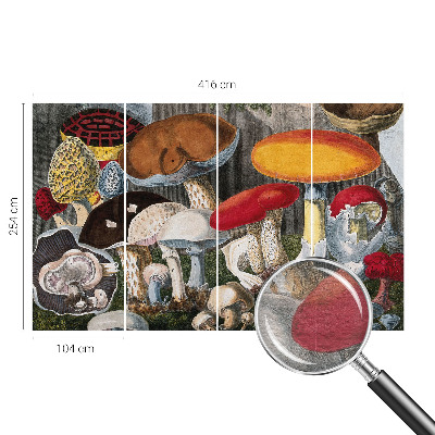 Vliesová fototapeta do obývačky Botanické huby