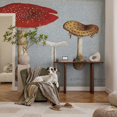 Fotografická tapeta vliesová Rytiny húb