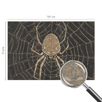 Vliesová fototapeta do spálne Pavučina