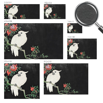 Fototapeta na mieru do obývačky Papagáj z granátového jablka