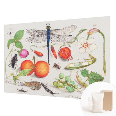 Vliesová tapeta Ilustrácia prírody