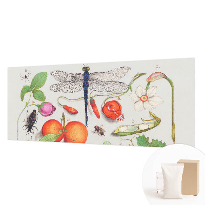 Vliesová tapeta Ilustrácia prírody