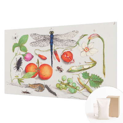 Vliesová tapeta Ilustrácia prírody