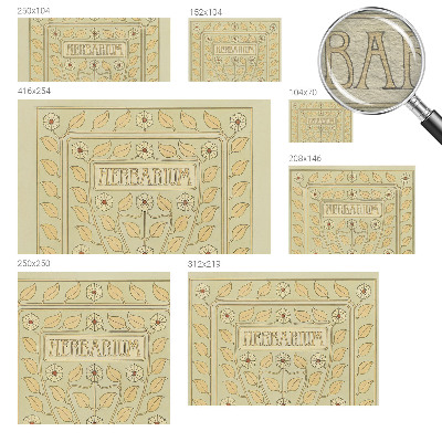 Fototapeta do obývačky Rastlinná ozdoba