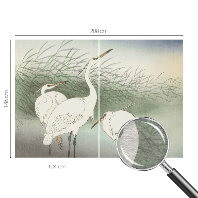 Fototapeta do spálne Volavky v tráve