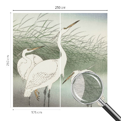 Fototapeta do spálne Volavky v tráve