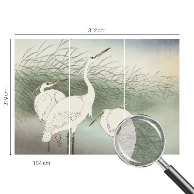 Fototapeta do spálne Volavky v tráve