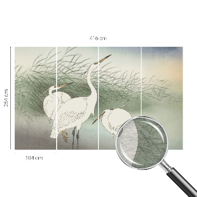 Fototapeta do spálne Volavky v tráve