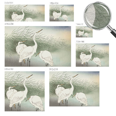 Fototapeta do spálne Volavky v tráve