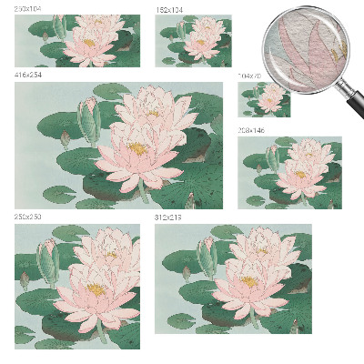 Vliesová fototapeta do spálne Vodný lotos