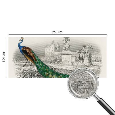 Fotografická tapeta vliesová Farebné perie