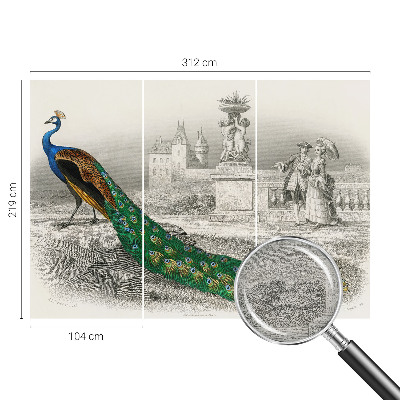 Fotografická tapeta vliesová Farebné perie