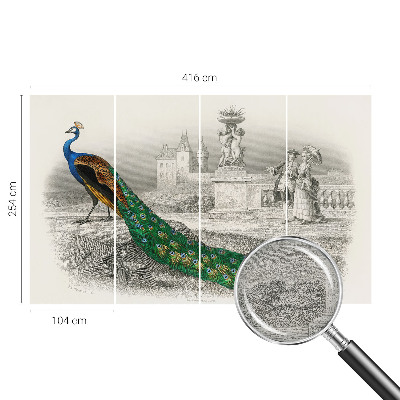 Fotografická tapeta vliesová Farebné perie