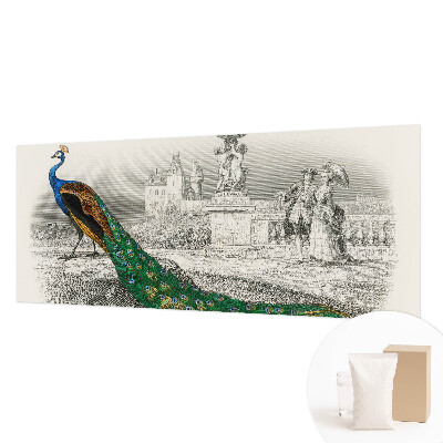 Fotografická tapeta vliesová Farebné perie